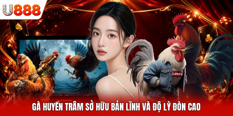 Gà Huyền Trâm sở hữu bản lĩnh và độ lỳ đòn cao